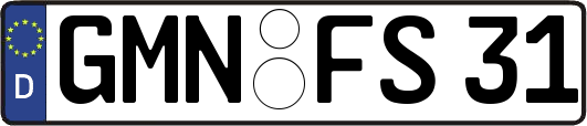 GMN-FS31