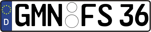GMN-FS36