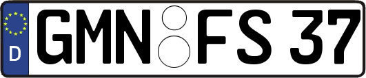 GMN-FS37