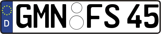 GMN-FS45