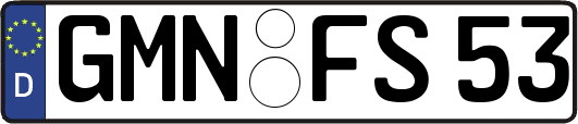 GMN-FS53