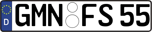 GMN-FS55