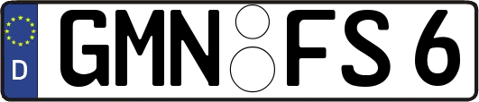 GMN-FS6