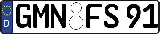 GMN-FS91
