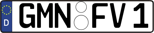 GMN-FV1
