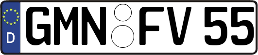 GMN-FV55