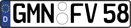 GMN-FV58