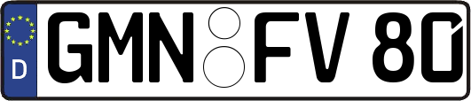 GMN-FV80