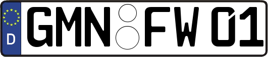 GMN-FW01