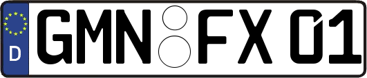 GMN-FX01