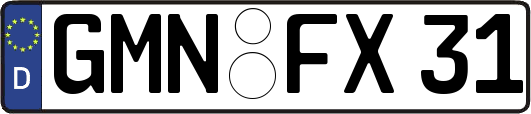 GMN-FX31