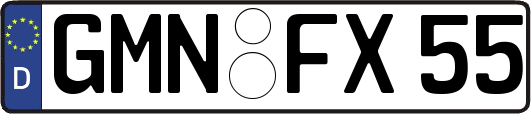 GMN-FX55