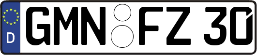 GMN-FZ30