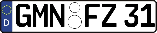 GMN-FZ31