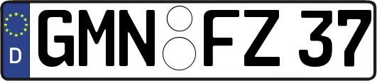 GMN-FZ37