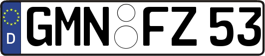 GMN-FZ53