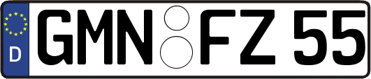 GMN-FZ55