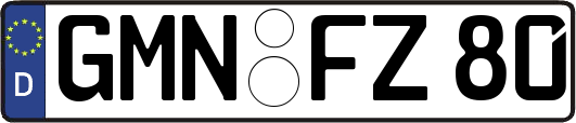 GMN-FZ80