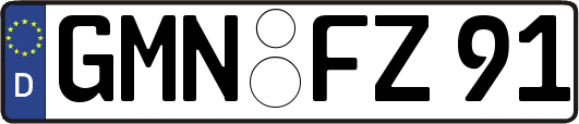 GMN-FZ91