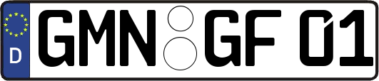 GMN-GF01