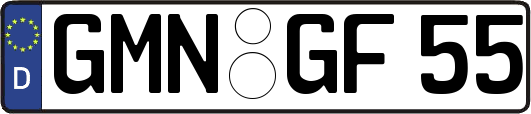 GMN-GF55