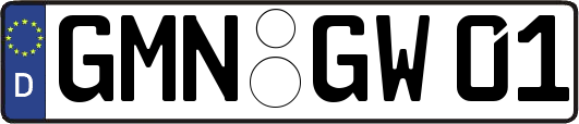 GMN-GW01