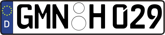 GMN-H029