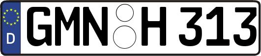 GMN-H313