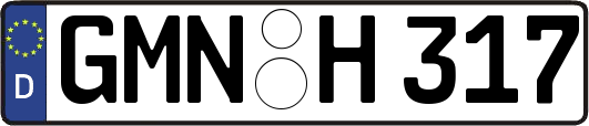 GMN-H317