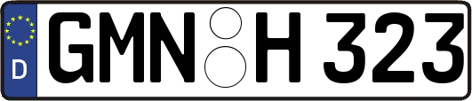 GMN-H323