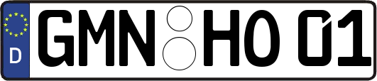 GMN-HO01