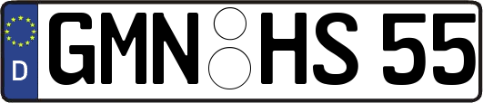 GMN-HS55