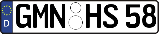 GMN-HS58