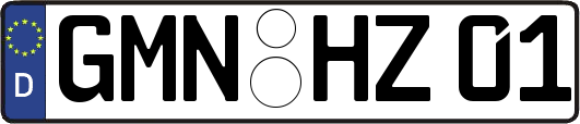 GMN-HZ01