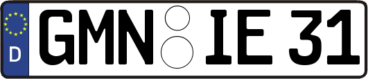 GMN-IE31