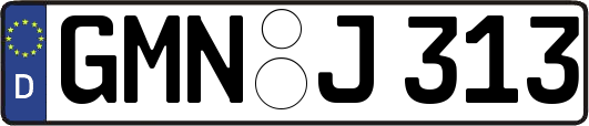 GMN-J313
