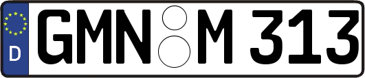 GMN-M313