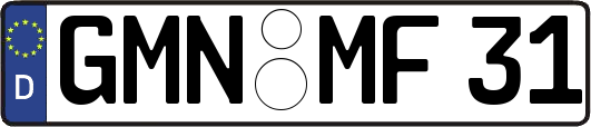 GMN-MF31