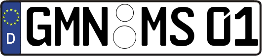 GMN-MS01