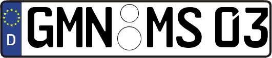 GMN-MS03