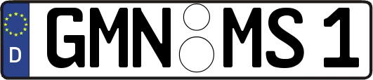 GMN-MS1