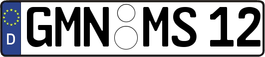 GMN-MS12