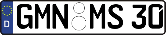 GMN-MS30