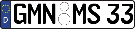 GMN-MS33