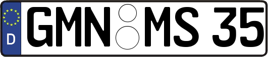 GMN-MS35