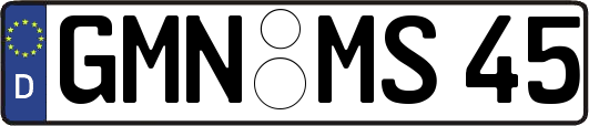 GMN-MS45