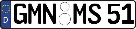GMN-MS51