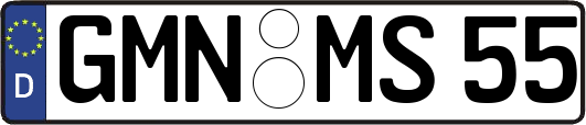 GMN-MS55