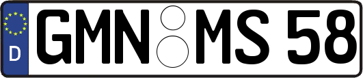 GMN-MS58