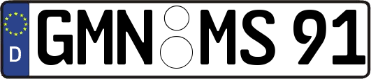 GMN-MS91